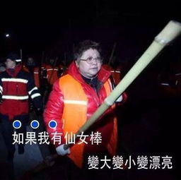 韩红表情包韩红回应表情包高清无水印极光下载站