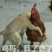 鸡你太美表情包