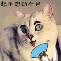 新闻哥你们的家乡开始下雪了吗2015.11.25