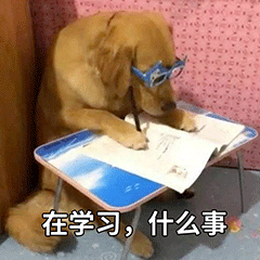 努力工作的猫猫狗勾表情包