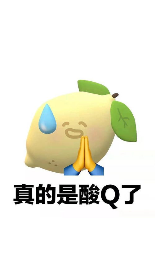 表情包41这套表情包谐音梗真是被玩坏了