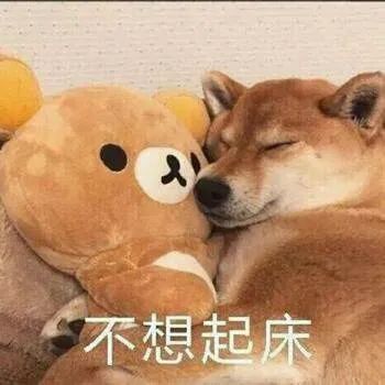 交女朋友就像养猪男生有女朋友之后才知道的6件事