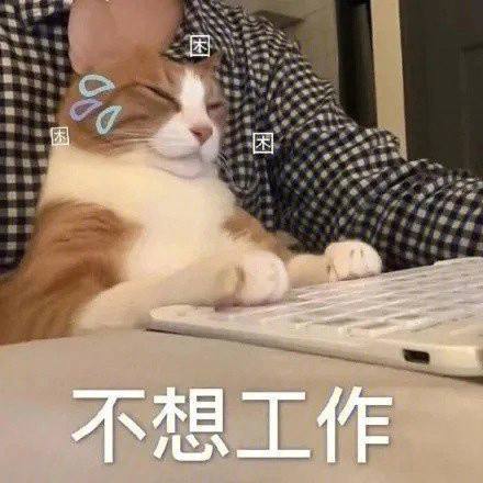 比双十一规则还复杂的,是我的kpi