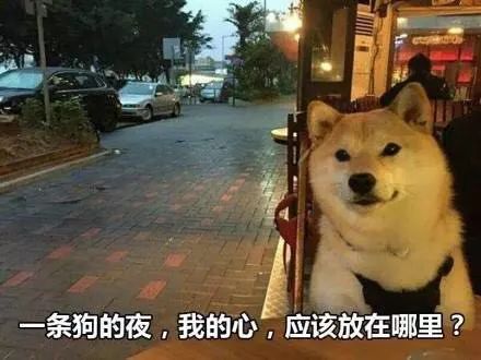 周杰伦的告白气球来惠安啦全民浪漫圣地,撩爆你的少女心