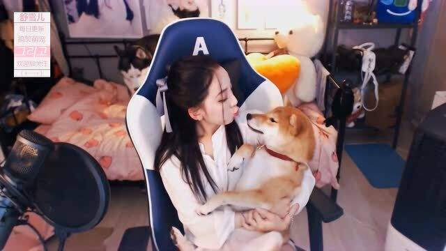 柴犬和女主播在一起时,狗狗的表情一脸嫌弃的样子,有点不情愿