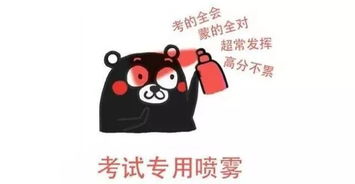 2018年彩虹排位赛考点分布考试注意事项