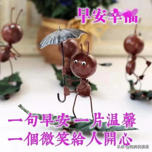 再幸福的人生也有缺憾,再凄凉的人生都有幸福,早安