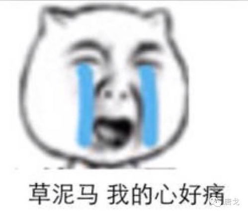 表情包怎么修改冷漠脸
