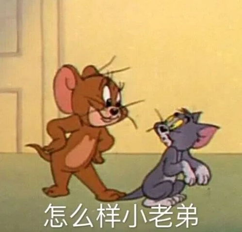 撩人表情包取图片微信聊天,怼人必备