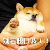 日狗吗表情包微信头像图片大全