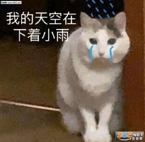 我要把你压在山下屁股朝外表情包我当时就是这样抓住你的头表情包图片下载乐游网游戏下载