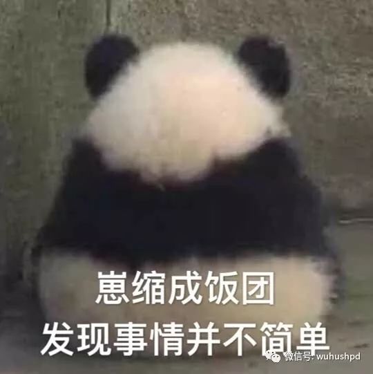 只见过一面,芜湖六旬老太却对一位陌生小伙牵肠挂肚,想把他当儿子养背后的故事原来是这样