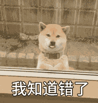 表情包动漫表情包动漫大全下载