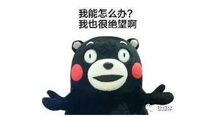 有一家傻坏傻坏的公司叫携程