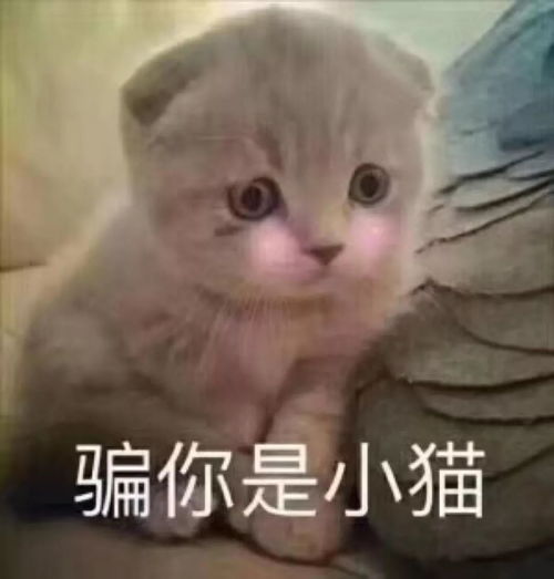 这样升级让你比打野还快新版本上单英雄全面崛起