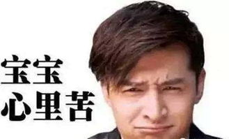 高圆圆赵又廷疑似婚变,高圆圆不能生育是真的女助理要上位