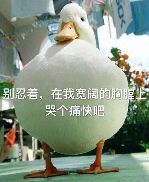 超强怼人语录臭泥鳅沾点海水,真把自己当海鲜了