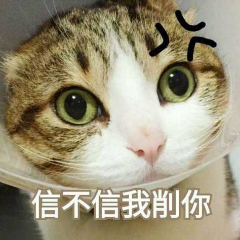 沙雕表情包想不到吧,我还没睡
