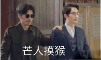 毛猴表情包大全分享毛猴表情包无水印汇总一览