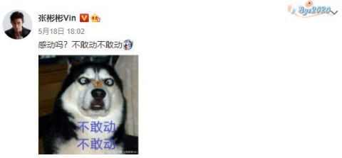 喜剧人设屹立不倒机场被保安架着走张彬彬发表情包搞笑回应