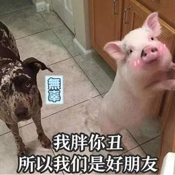 你脑子里面是不是每天都有这个科学家