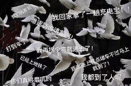 十条笑话我国的羊毛主要出产在什么地方