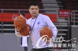 高清北京备战半决赛马布里投入闵鹿蕾苦思破敌良策