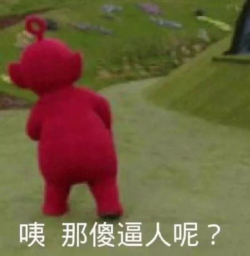 蒲苇苇的想法有没有一个万能表情包可以回复所有问题