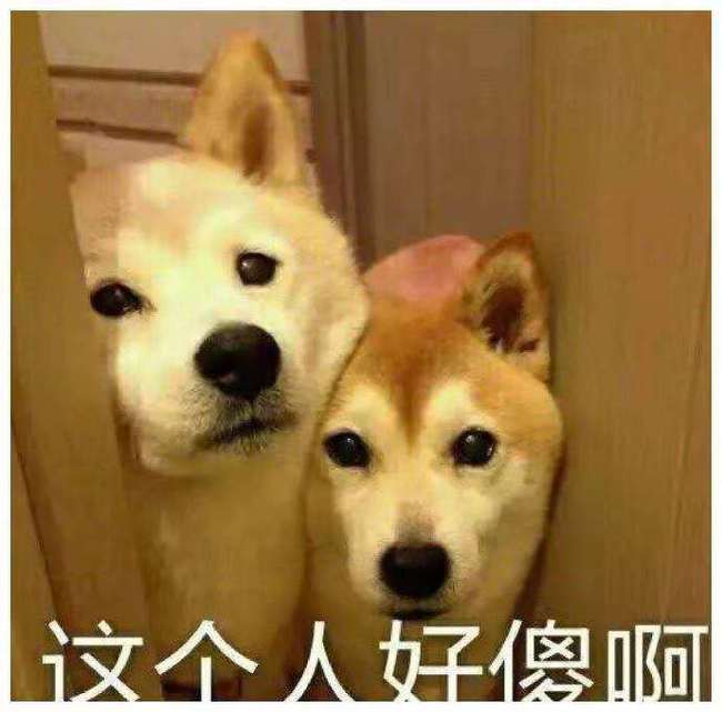 笑话段子哥,我建议你换人吧,找个温柔贤惠的
