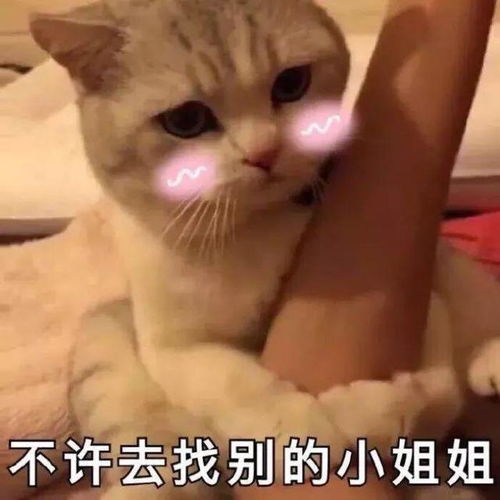 十条段子你见漂亮的就看不够是吧
