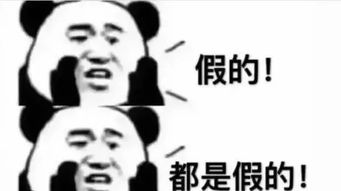 现场直击315在行动仙桃体育广场集中销毁假冒伪产品