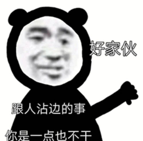 匹配熊猫头表情包的沙雕文案