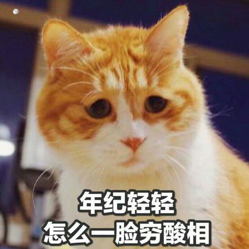 如果用一张照片,来代表你的这一年,你会选择相册里的哪一张