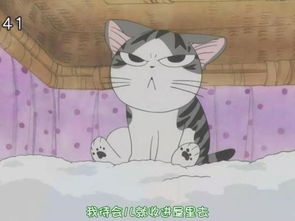 猫奴的专属动漫看过三部以上才是真铲屎官