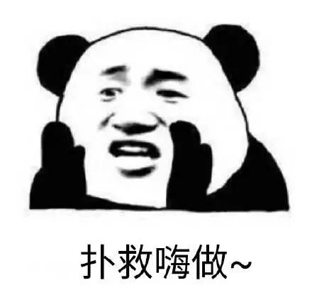 熊猫头表情包i人生到底是什么不太懂啊