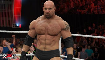 wwe2k17生涯模式攻略wwe2k17生涯模式怎么玩