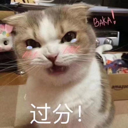 过分表情包合集