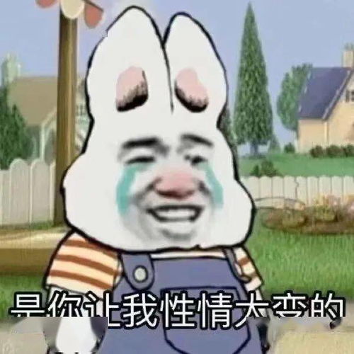 吐槽今日揭秘让你们也来体验一下本宫的兴致