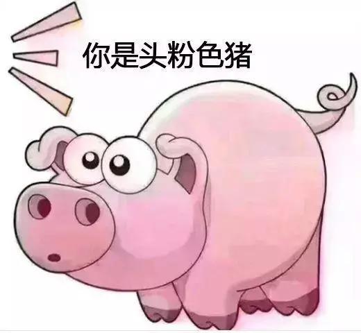 搞笑斗图表情包你是头七彩猪