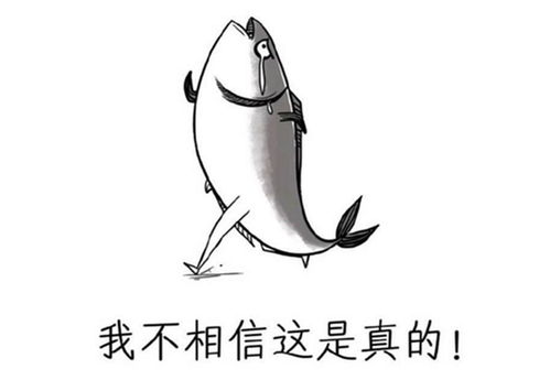 摸鱼鱼表情包什么意思咸鱼