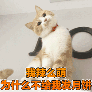 要月饼表情包动图合集给个月饼吧,不然一个红包也行