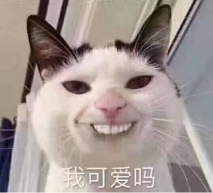 撩到对方小鹿乱撞的表情需不需要我这样的女朋友呢