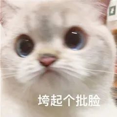 甜甜私房猫表情包png捂脸