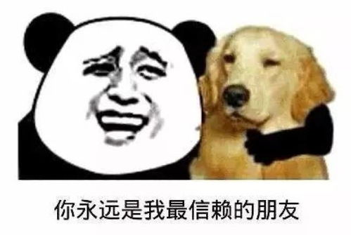 你的表情包该换血了保证你出门斗图再也不输