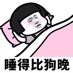 细思极恐你也许只是假装考研