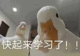 大学里怎么拿奖学金准大一必看