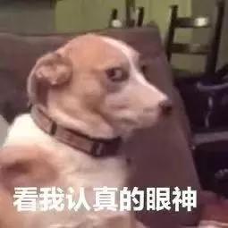 金秋十月,西双版纳用暖阳款待世界