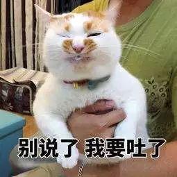 看吐了猪圈里做的豆腐,厕所边晾的豆皮都卖到了这里