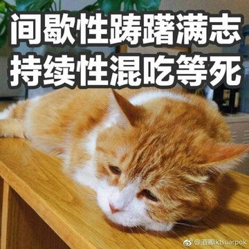 全站相册标签表情包