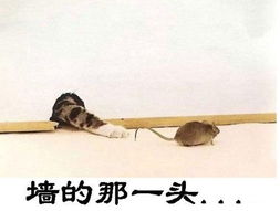 sasa的相册20090509